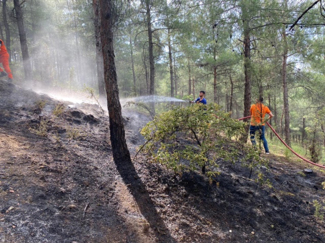 Boyabat'ta Ormana Düşen Yıldırım Yangın Çıkardı Boyabat'ta  yıldırım düşmesi sonucu ormanlık alanda çıkan örtü yangını kısa sürede kontrol altına alınarak tamamen söndürüldü.45