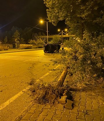 Boyabat’ta Ağaca Çarpan Otomobil Ağacı Kökünden Söktü