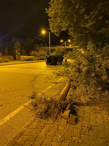 Boyabat'ta Ağaca Çarpan Otomobil Ağacı Kökünden Söktü3