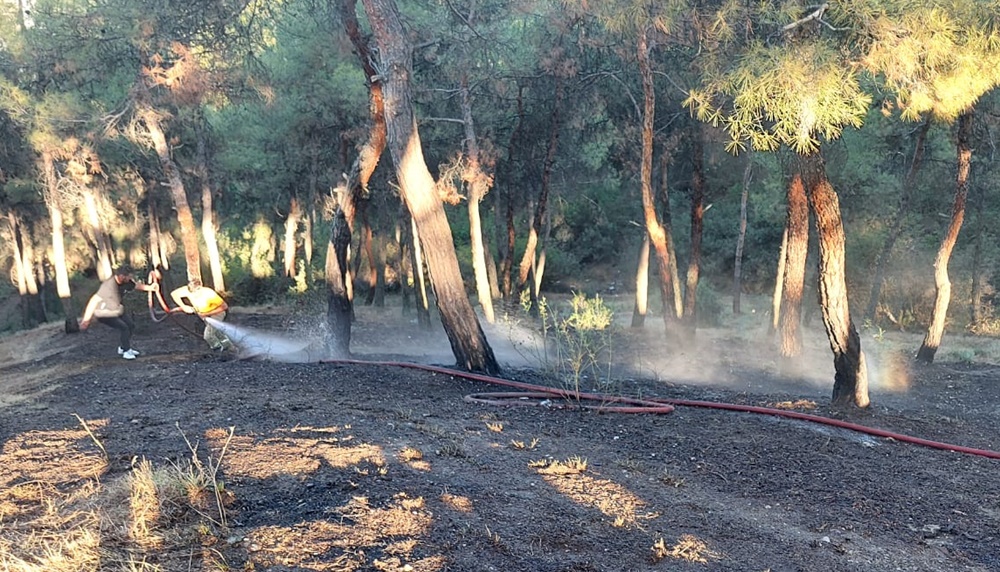 23c7cbdd cc60 4e5b b3d1 00bd9596d64a