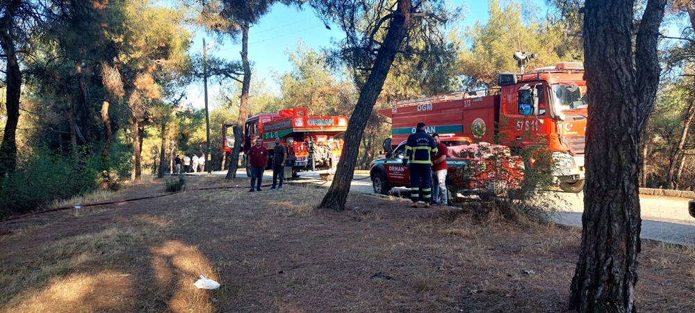 58c3cc93 4ea4 4fe7 b448 3eb0a283192a