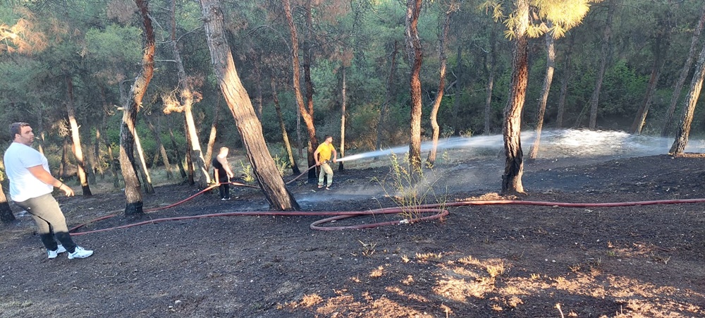 b2760003 9119 4f5c 9bb4 b63707f80152