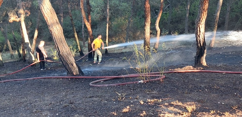 b2760003 9119 4f5c 9bb4 b63707f801525