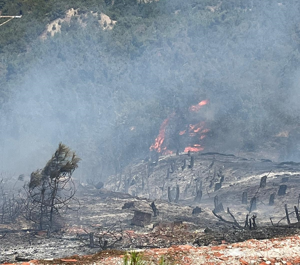 Boyabat Hacıahmetli Köyü  Karapürçek Mevkiinde Yangın