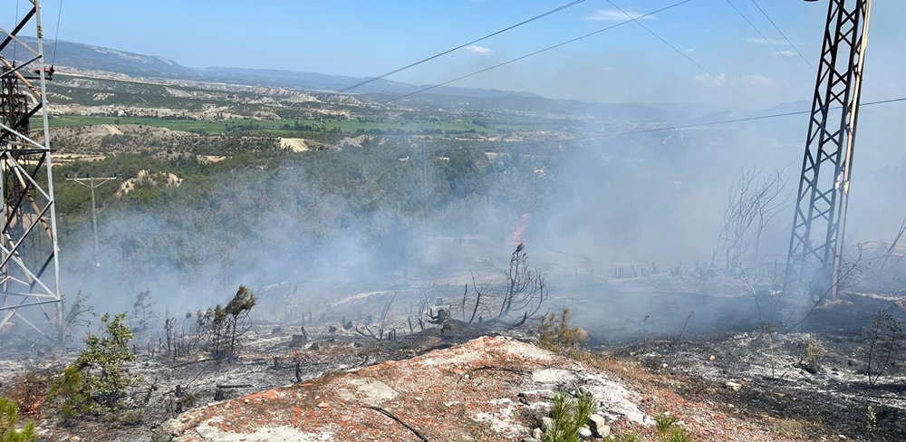 Boyabat Hacıahmetli Köyü Karapürçek Mevkiinde Yangın2