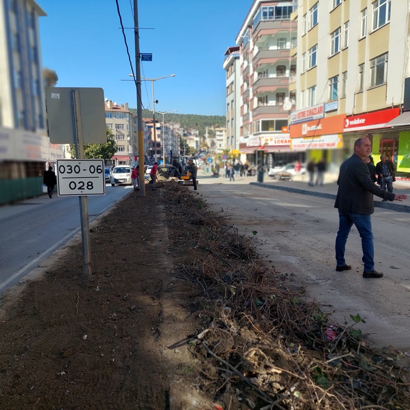 Boyabat'ta Sarmaşık Kabusu Bitti, Güvenli Yollar Oluşturuluyor!