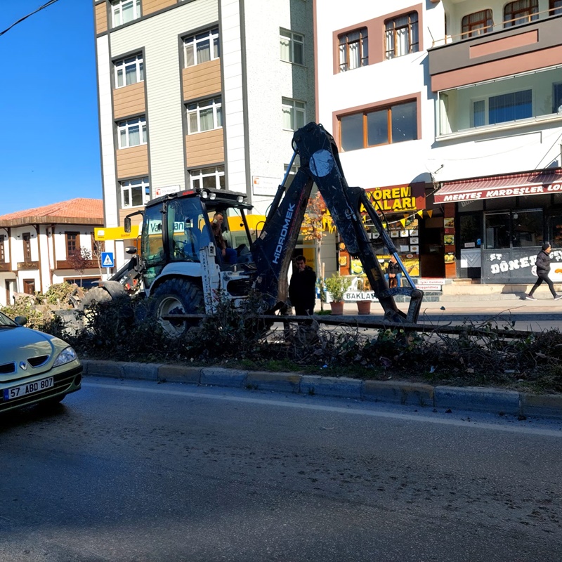 Boyabat'ta Sarmaşık Kabusu Bitti, Güvenli Yollar Oluşturuluyor! 3 3