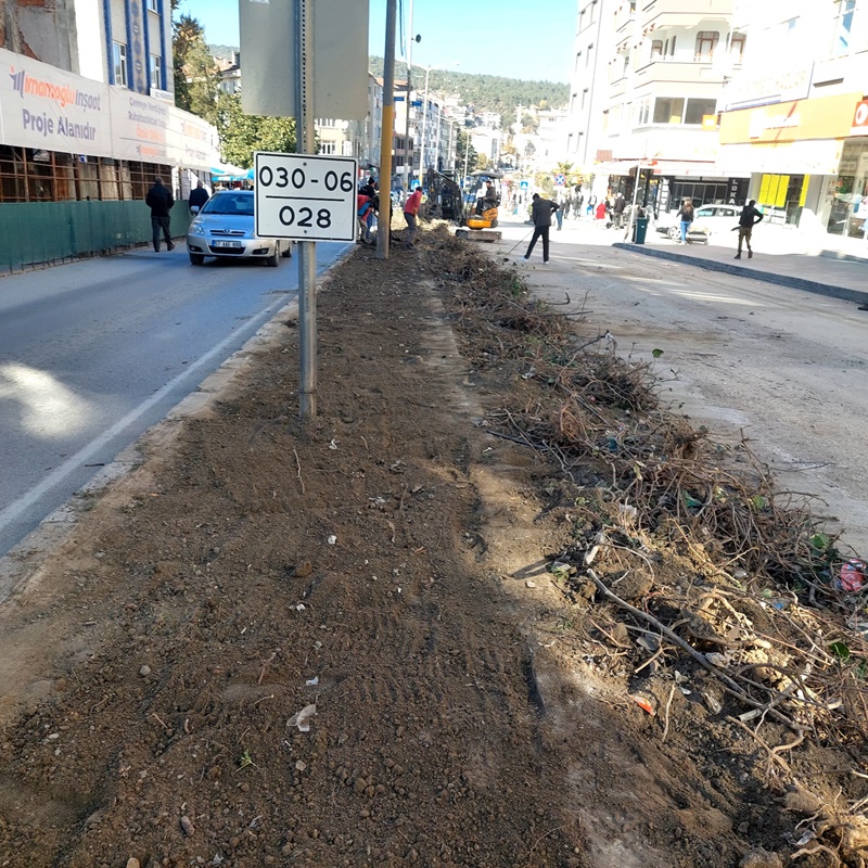 Boyabat'ta Sarmaşık Kabusu Bitti, Güvenli Yollar Oluşturuluyor!6