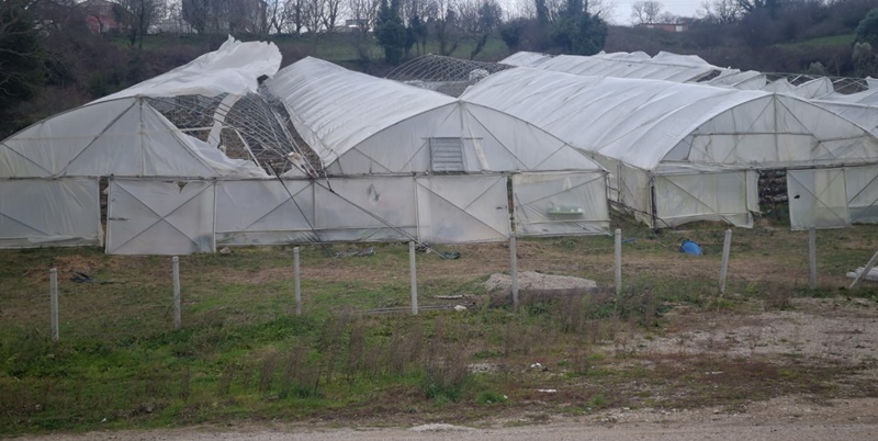 Sinop'ta yaşanan şiddetli fırtına, bölgedeki tarım üreticilerini zora soktu. Dün