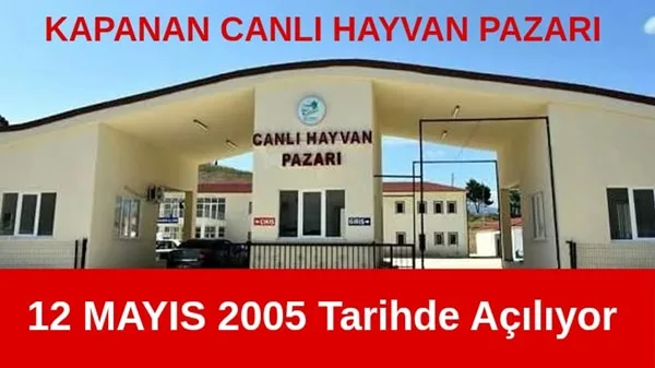 Boyabat Hayvan Pazarı  Açılıyor
