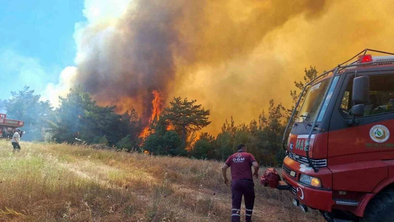Bölgemizdeki Orman Arazözleri Yangına Destek Yola Çıktılar 2 sakarya valiliginde orman yanginina iliskin aciklama boyabat