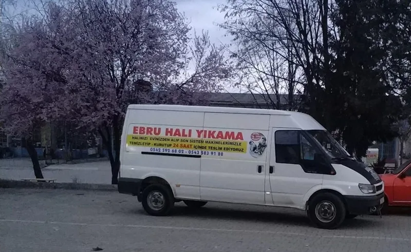 boyabat duragan hali koltuk yikama yikamacilar ebruhali ebruyikama haliyikama32326