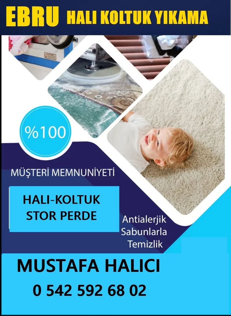 sinop boyabat ebru hali yikma koltuk yikamacilar
