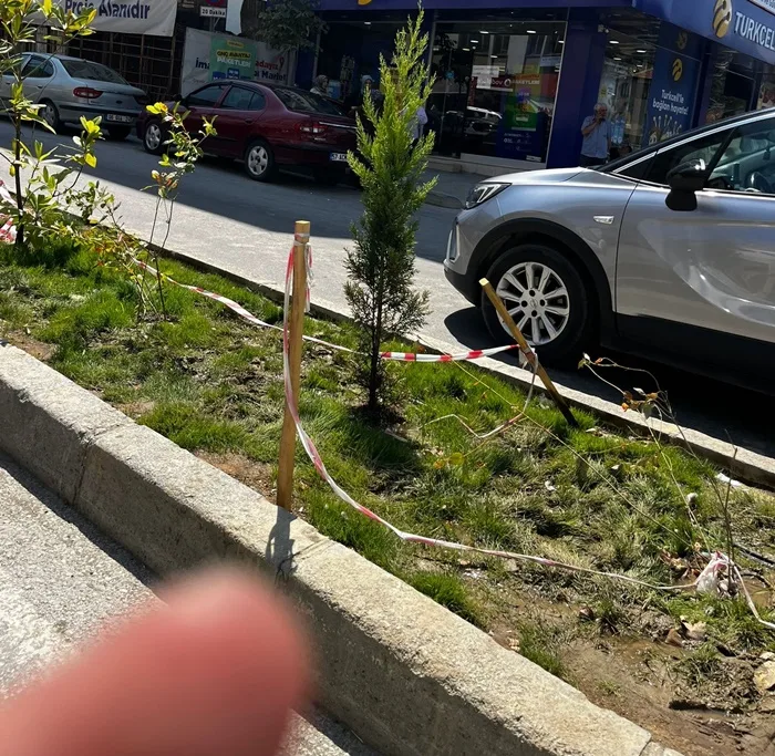 Boyabat'ta Yeşil Alan Vandalizmi: Duyarsızlık Yeniden İş Başında 2 Boyabat'ta Yeşil Alan Vandalizmi: Duyarsızlık Yeniden İş Başında2