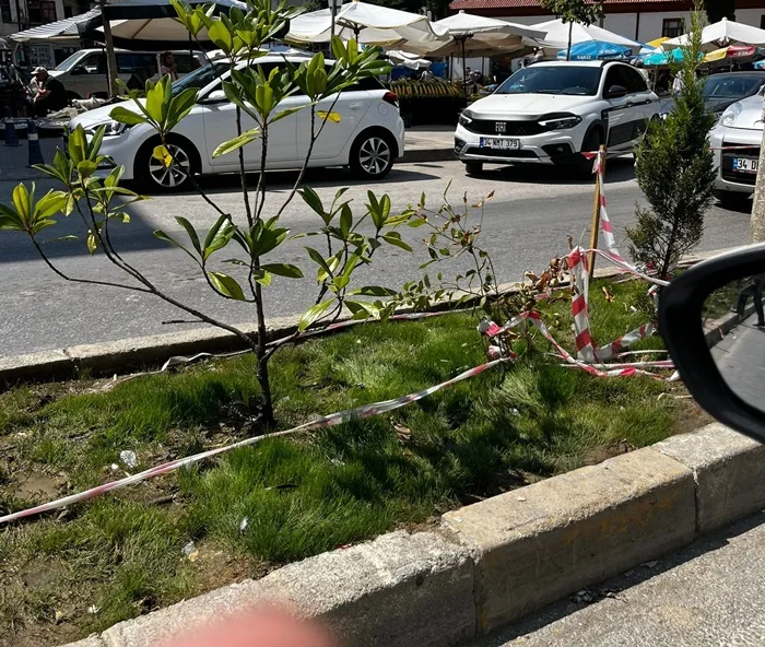 Boyabat'ta Yeşil Alan Vandalizmi: Duyarsızlık Yeniden İş Başında 3 Boyabat'ta Yeşil Alan Vandalizmi: Duyarsızlık Yeniden İş Başında3