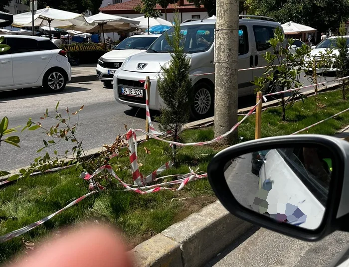 Boyabat'ta Yeşil Alan Vandalizmi: Duyarsızlık Yeniden İş Başında 1 Boyabat'ta Yeşil Alan Vandalizmi: Duyarsızlık Yeniden İş Başında