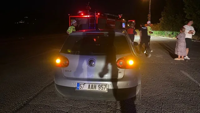 Otomobilin Önüne Çıkan Köpek Canından Oldu, Araçta Maddi Hasar Oluştu555