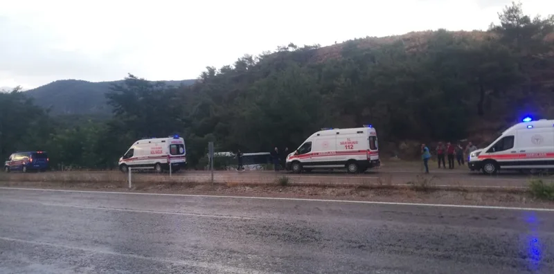 d731821f 9a5a 45ff 83a8 24610c6144db