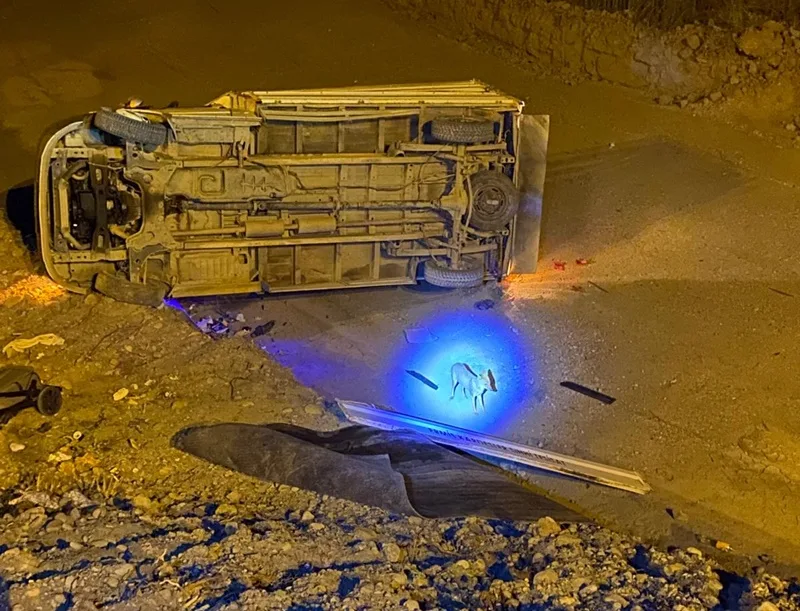 Boyabat'ta Trafik Kazası Kaza Yerinde Tilki Meraklı Bakışları Üzerine Çekti03