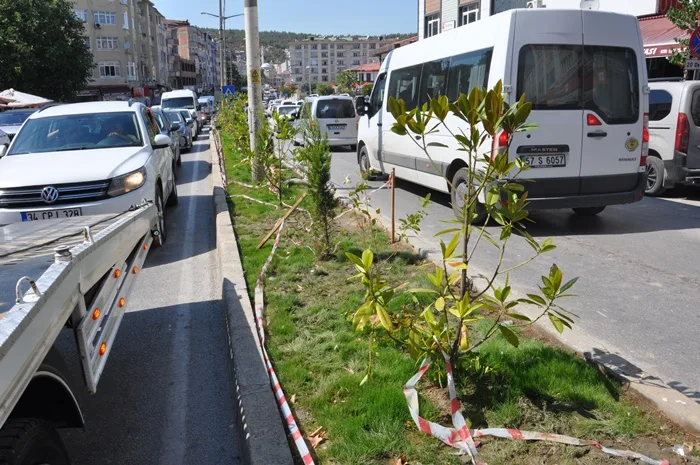 Boyabat'ta Yeşil Alan Vandalizmi: Duyarsızlık Yeniden İş Başında 5 Boyabat'ta Yeşil Alan Vandalizmi: Duyarsızlık Yeniden İş Başında7