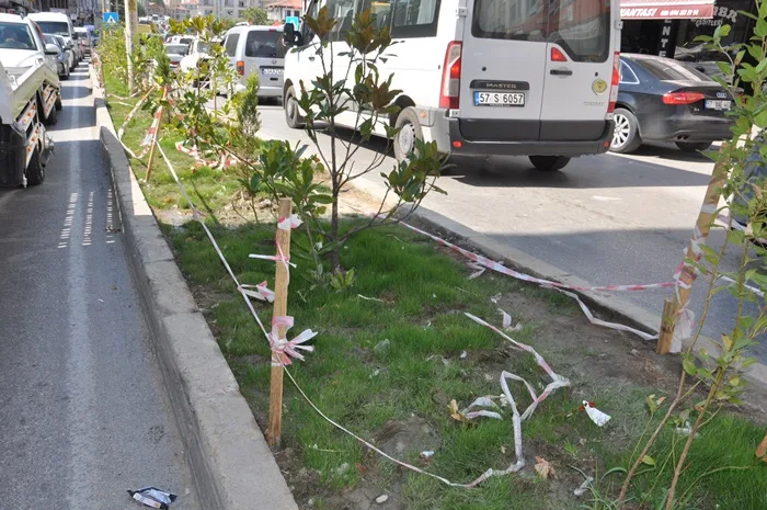 Boyabat'ta Yeşil Alan Vandalizmi: Duyarsızlık Yeniden İş Başında 4 Boyabat'ta Yeşil Alan Vandalizmi: Duyarsızlık Yeniden İş Başında4