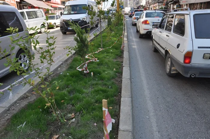 Boyabat'ta Yeşil Alan Vandalizmi: Duyarsızlık Yeniden İş Başında 6 Boyabat'ta Yeşil Alan Vandalizmi: Duyarsızlık Yeniden İş Başında66