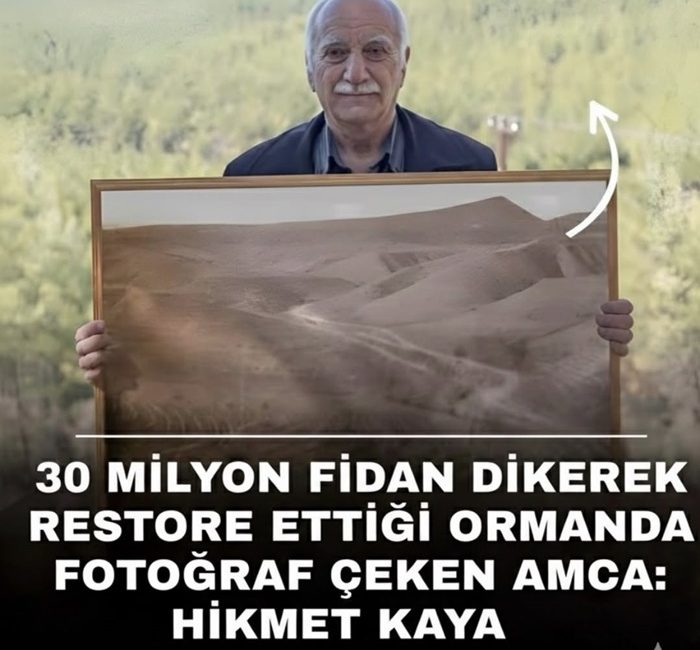 Sinop’un Boyabat ilçesinde ağaçlandırma şefi